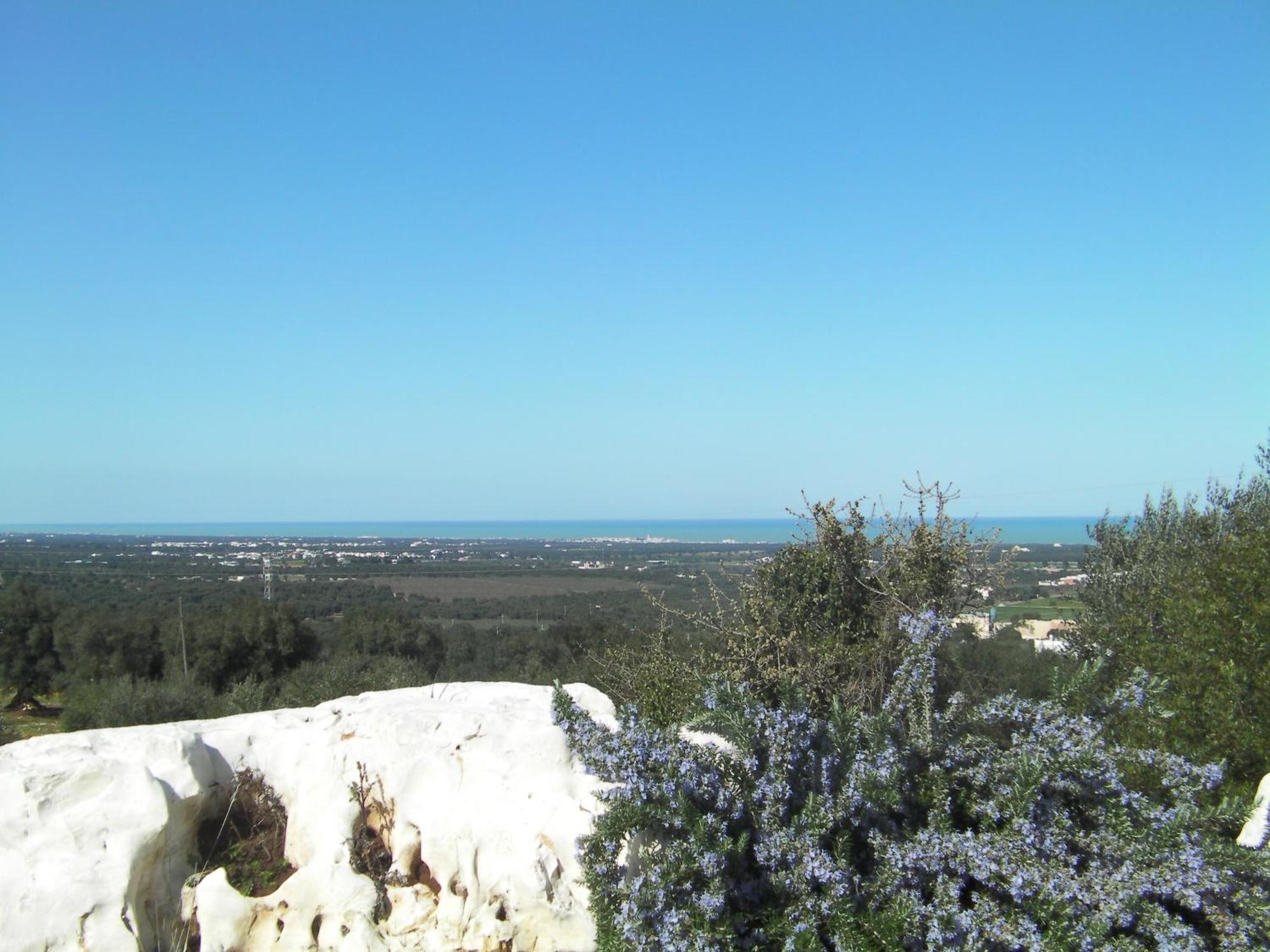 Agriturismo Masseria Spetterrata Чистернино Екстериор снимка